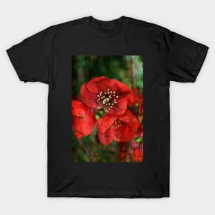 Japonica Blossoms T-Shirt